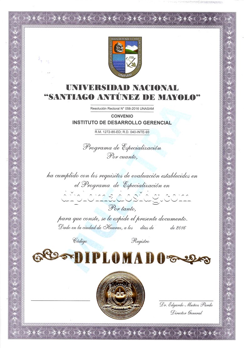 Diploma Universidad Santiago Antunez de Mayolo diplomados a distancia