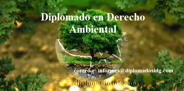 diplomado a distancia Derecho Ambiental idg, universidad UNASAM unt San Marcos Ucayali ICG, Peru, Ecuador, Colombia, bolivia, Chile